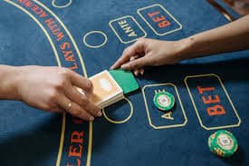 bet100 bet100